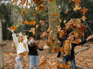 Assurances Mutuelles de Picardie vacances Toussaint prévention GAV