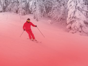 Accidents de ski et assurances