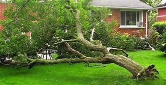 Que faire en cas de sinistre lié à la tempête ?